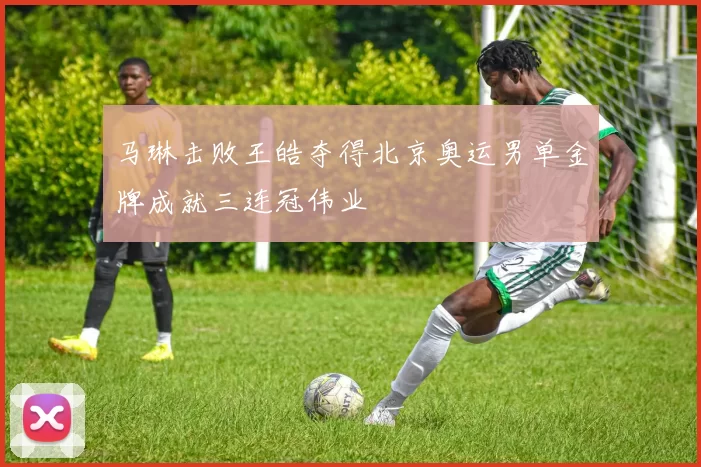 马琳击败王皓夺得北京奥运男单金牌成就三连冠伟业