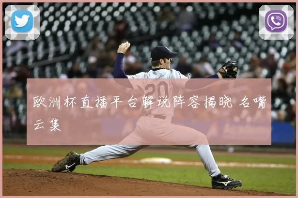 欧洲杯直播平台解说阵容揭晓 名嘴云集