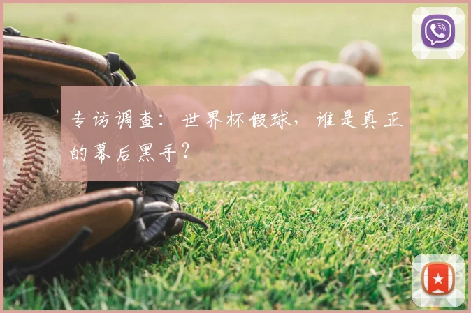 专访调查:世界杯假球,谁是真正的幕后黑手?