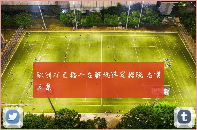 欧洲杯直播平台解说阵容揭晓 名嘴云集